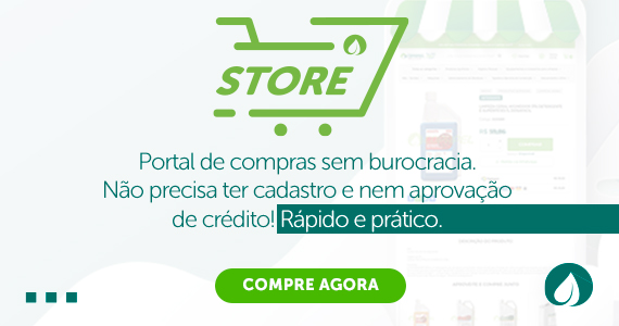 imagem store